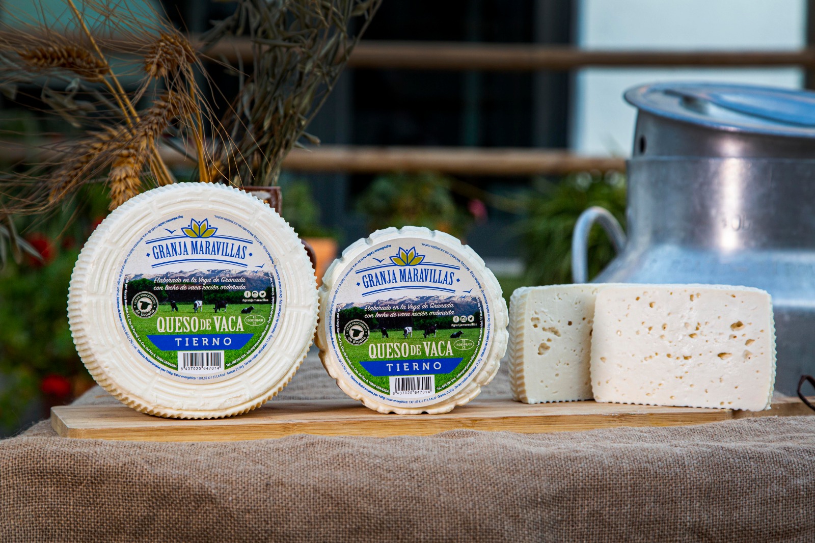 5 razones para comer queso artesanal